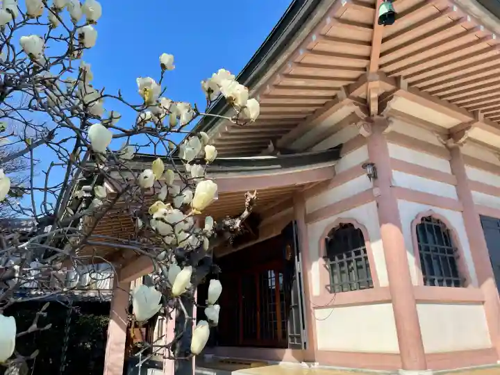 中台寺の{uncategorized: "未分類", other: "その他", undefined: "問題あり", building: "その他建物", grave: "お墓", sacred_gate: "鳥居", guardian: "狛犬", statue: "像", buddha: "仏像", history: "歴史", nature: "自然", garden: "庭園", animal: "動物", pagoda: "塔", temizu: "手水舎", mountain_gate: "山門・神門", sanctuary: "本殿・本堂", subordinate: "末社・摂社", art: "芸術", scenery: "景色", jizo: "地蔵", ema: "絵馬", goshuin: "御朱印", omikuji: "おみくじ", items: "授与品その他", amulet: "お守り", goshuincho: "御朱印帳", eats: "食事", festival: "お祭り", votive_dance: "神楽", shichigosan: "七五三参", wedding: "結婚式", experience: "体験その他", initially: "初詣", around: "周辺", anti_infection: "感染症対策"}