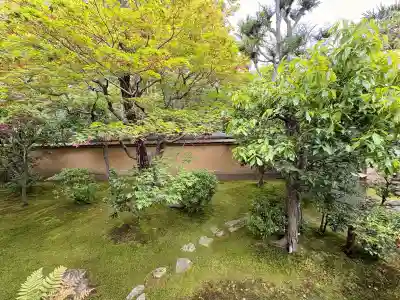 興臨院の{uncategorized: "未分類", other: "その他", undefined: "問題あり", building: "その他建物", grave: "お墓", sacred_gate: "鳥居", guardian: "狛犬", statue: "像", buddha: "仏像", history: "歴史", nature: "自然", garden: "庭園", animal: "動物", pagoda: "塔", temizu: "手水舎", mountain_gate: "山門・神門", sanctuary: "本殿・本堂", subordinate: "末社・摂社", art: "芸術", scenery: "景色", jizo: "地蔵", ema: "絵馬", goshuin: "御朱印", omikuji: "おみくじ", items: "授与品その他", amulet: "お守り", goshuincho: "御朱印帳", eats: "食事", festival: "お祭り", votive_dance: "神楽", shichigosan: "七五三参", wedding: "結婚式", experience: "体験その他", initially: "初詣", around: "周辺", anti_infection: "感染症対策"}