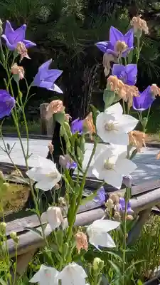  智積院(京都府)