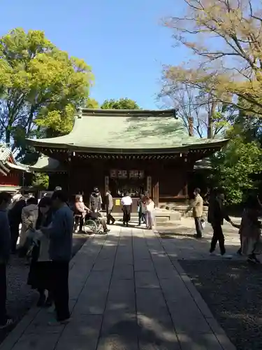 川越氷川神社(埼玉県)