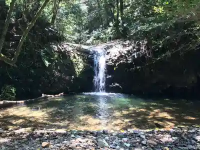 韓竈神社の自然