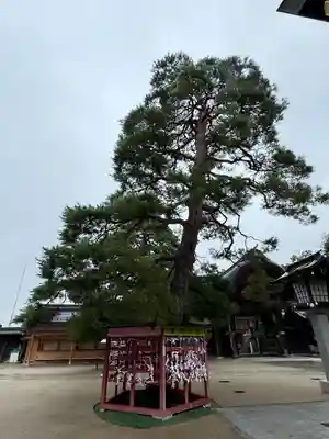 竹駒神社(宮城県)