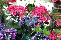 三津厳島神社(愛媛県)