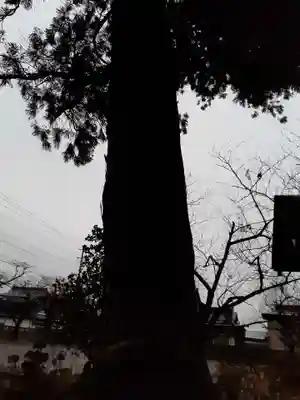 八坂神社(岩手県)