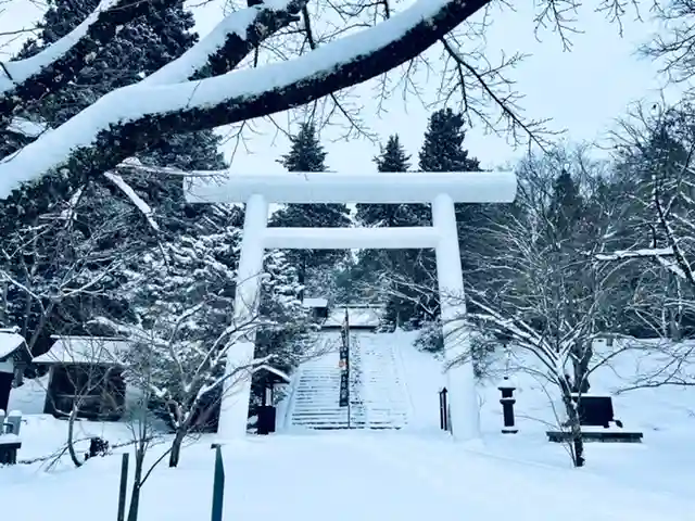 土津神社|こどもと出世の神さまの鳥居