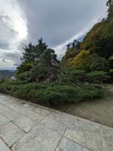 常楽寺(長野県)