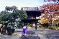 養国寺の山門・神門