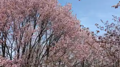 六角堂（深山峠新四国八十八ヶ所霊場）の自然
