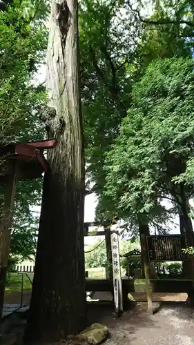 高森阿蘇神社の建物その他