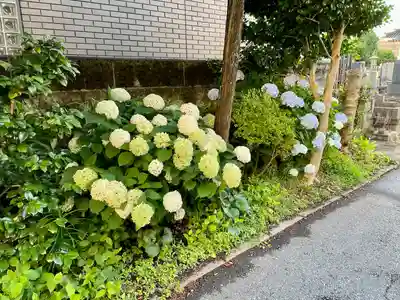 妙正寺(栃木県)