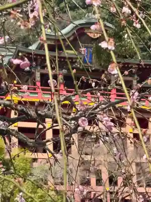 祐徳稲荷神社(佐賀県)