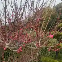 加佐美神社(岐阜県)