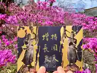 普門寺(切り絵御朱印発祥の寺)の御朱印