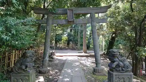渋谷氷川神社の鳥居