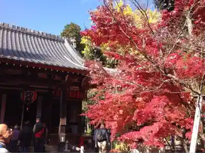 赤山禅院(京都府)
