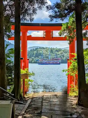 箱根神社の鳥居