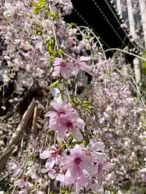 頂法寺（六角堂）(京都府)