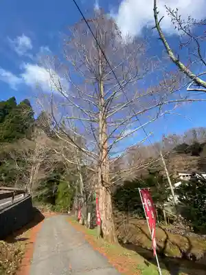 寺下観音の自然