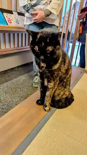 五十稲荷神社(栄寿稲荷神社)の動物