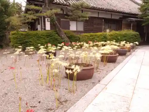 来迎寺(三重県)