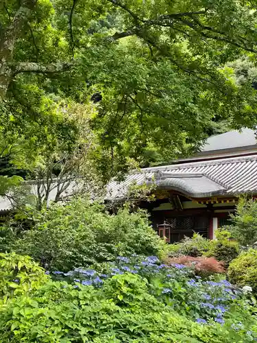 久安寺(大阪府)