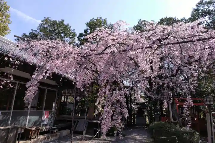 水火天満宮(京都府)
