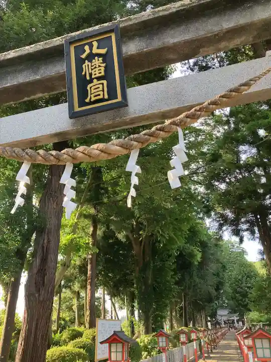 薬師寺八幡宮(栃木県)