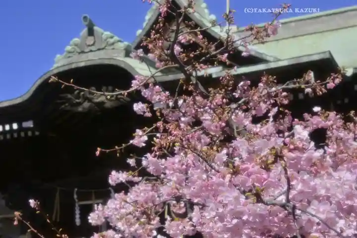 桜神宮(東京都)