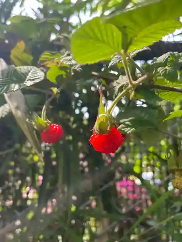 上野大佛(東京都)