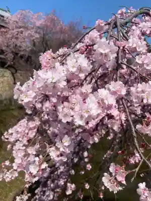 眞田神社の{uncategorized: "未分類", other: "その他", undefined: "問題あり", building: "その他建物", grave: "お墓", sacred_gate: "鳥居", guardian: "狛犬", statue: "像", buddha: "仏像", history: "歴史", nature: "自然", garden: "庭園", animal: "動物", pagoda: "塔", temizu: "手水舎", mountain_gate: "山門・神門", sanctuary: "本殿・本堂", subordinate: "末社・摂社", art: "芸術", scenery: "景色", jizo: "地蔵", ema: "絵馬", goshuin: "御朱印", omikuji: "おみくじ", items: "授与品その他", amulet: "お守り", goshuincho: "御朱印帳", eats: "食事", festival: "お祭り", votive_dance: "神楽", shichigosan: "七五三参", wedding: "結婚式", experience: "体験その他", initially: "初詣", around: "周辺", anti_infection: "感染症対策"}