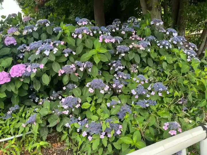 性海寺(愛知県)