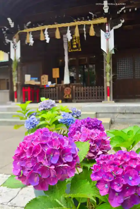 磐井神社(東京都)