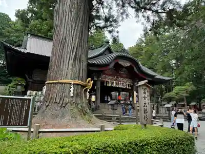 北口本宮冨士浅間神社(山梨県)