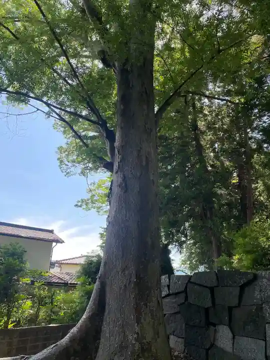 大井俣窪八幡神社(山梨県)