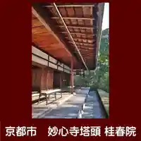 桂春院のその他建物