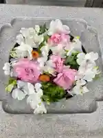 大松禅寺(京都府)