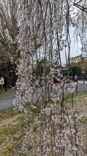 大報恩寺（千本釈迦堂）(京都府)