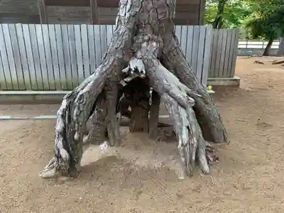 春日神社(千葉県)