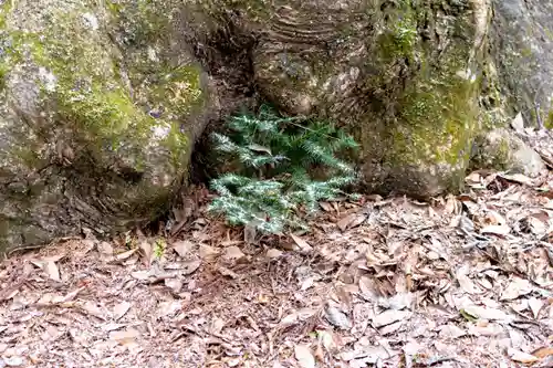諏訪大社(長野県)