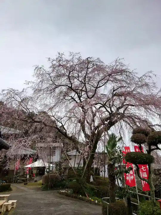 林陽寺(岐阜県)