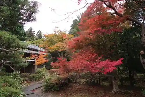 真禅院(岐阜県)