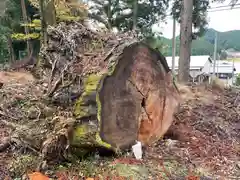 日吉神社の自然