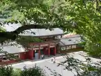 祐徳稲荷神社の{uncategorized: "未分類", other: "その他", undefined: "問題あり", building: "その他建物", grave: "お墓", sacred_gate: "鳥居", guardian: "狛犬", statue: "像", buddha: "仏像", history: "歴史", nature: "自然", garden: "庭園", animal: "動物", pagoda: "塔", temizu: "手水舎", mountain_gate: "山門・神門", sanctuary: "本殿・本堂", subordinate: "末社・摂社", art: "芸術", scenery: "景色", jizo: "地蔵", ema: "絵馬", goshuin: "御朱印", omikuji: "おみくじ", items: "授与品その他", amulet: "お守り", goshuincho: "御朱印帳", eats: "食事", festival: "お祭り", votive_dance: "神楽", shichigosan: "七五三参", wedding: "結婚式", experience: "体験その他", initially: "初詣", around: "周辺", anti_infection: "感染症対策"}