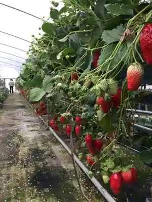 浪切不動院の周辺