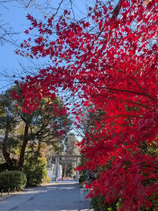 阿佐ヶ谷神明宮(東京都)