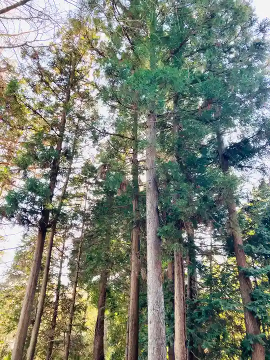 岡見八坂神社(茨城県)