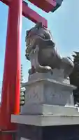 白老八幡神社の狛犬