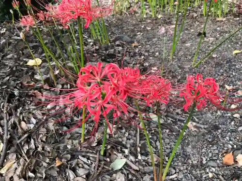 雙栗神社の自然