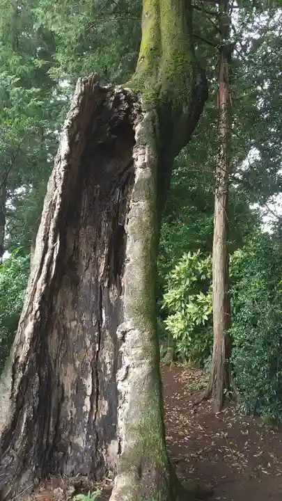 八幡神社(茨城県)