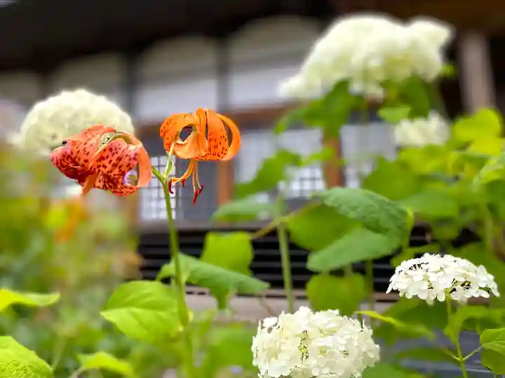 龍光院(長野県)